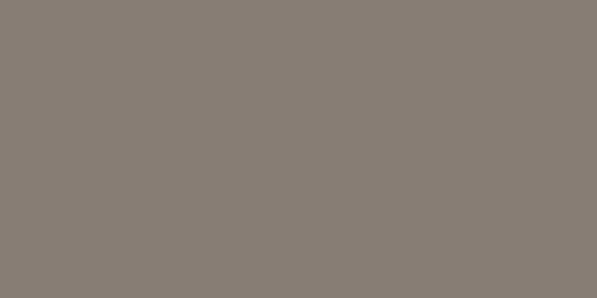 Billede af Taurus Color Grey 06 S 298x598 mm