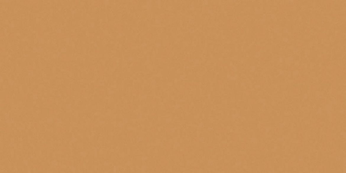 Billede af Croma Frond Mat 10x20 cm