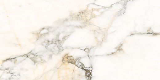 Billede af Aesthetica Calacatta Paonazzo 60x120 cm (LP - Poleret)