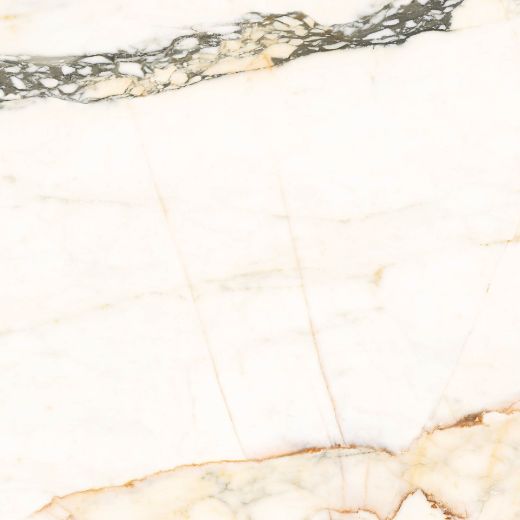 Billede af Aesthetica Calacatta Paonazzo 120x120 cm (LPM - Matpoleret)