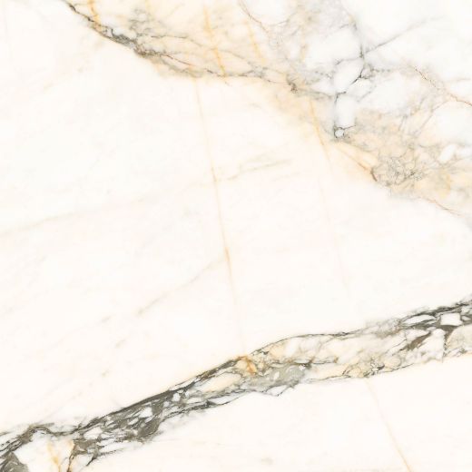 Billede af Aesthetica Calacatta Paonazzo 120x120 cm (LP - Poleret)