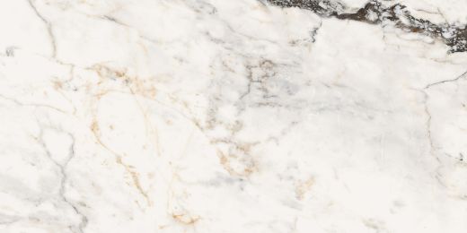 Billede af Aesthetica Paonazzetto 60x120 cm (RM - Mat)