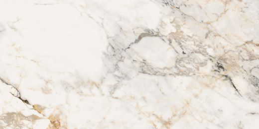 Billede af Aesthetica Paonazzetto 60x120 cm (LP - Poleret)