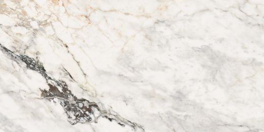 Billede af Aesthetica Paonazzetto 60x120 cm (LP - Poleret)