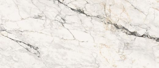 Billede af Aesthetica Paonazzetto 120x278 cm (LP - Poleret)