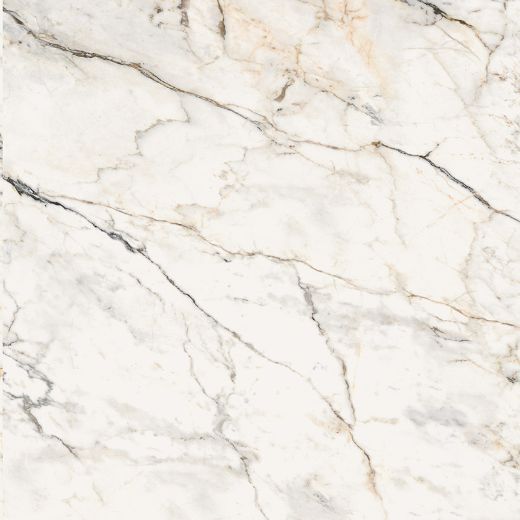 Billede af Aesthetica Paonazzetto 120x120 cm (RM - Mat)