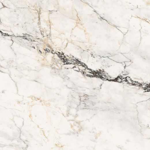 Billede af Aesthetica Paonazzetto 120x120 cm (LP - Poleret)