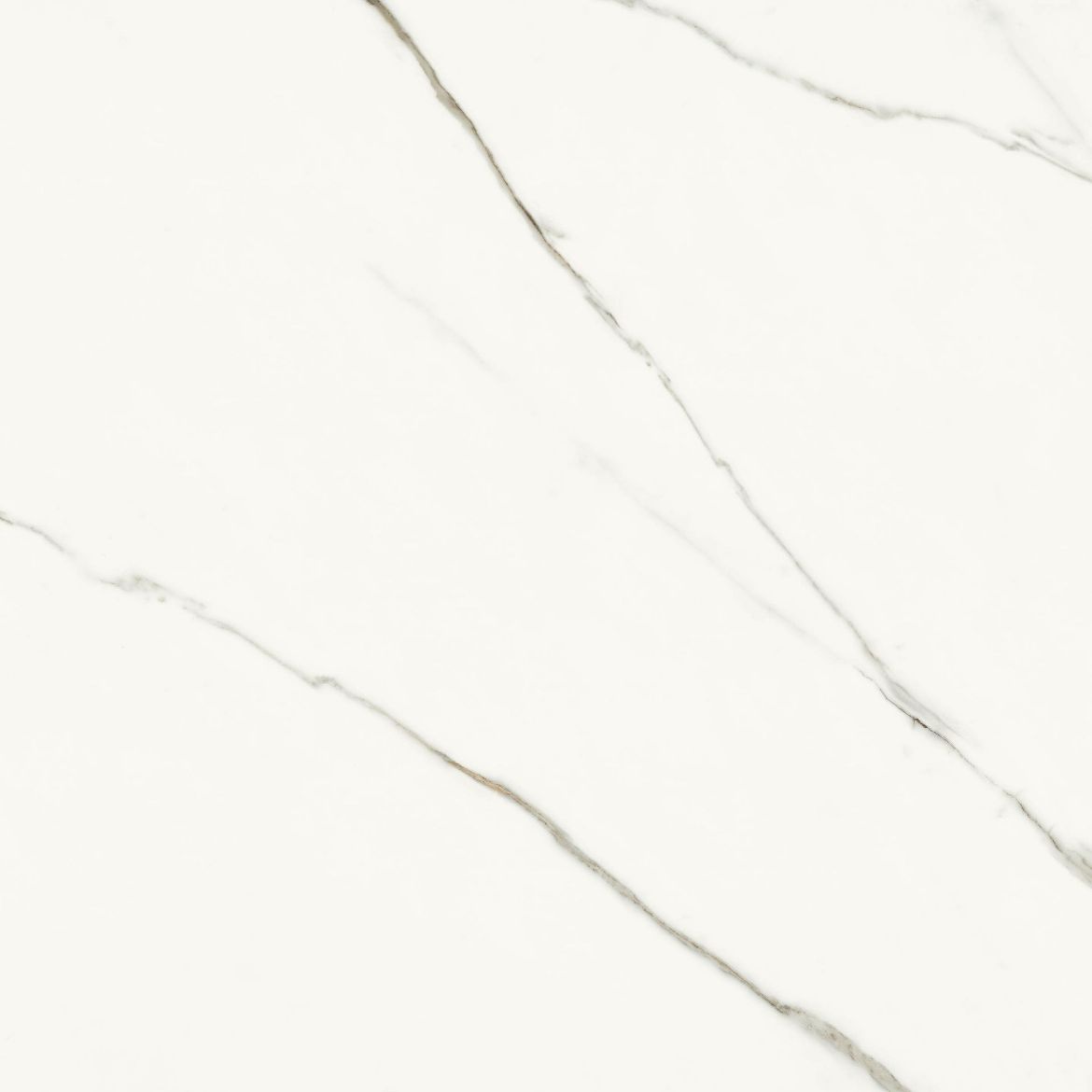 Billede af Aesthetica Statuario Extra White 120x120 cm (RM - Mat)