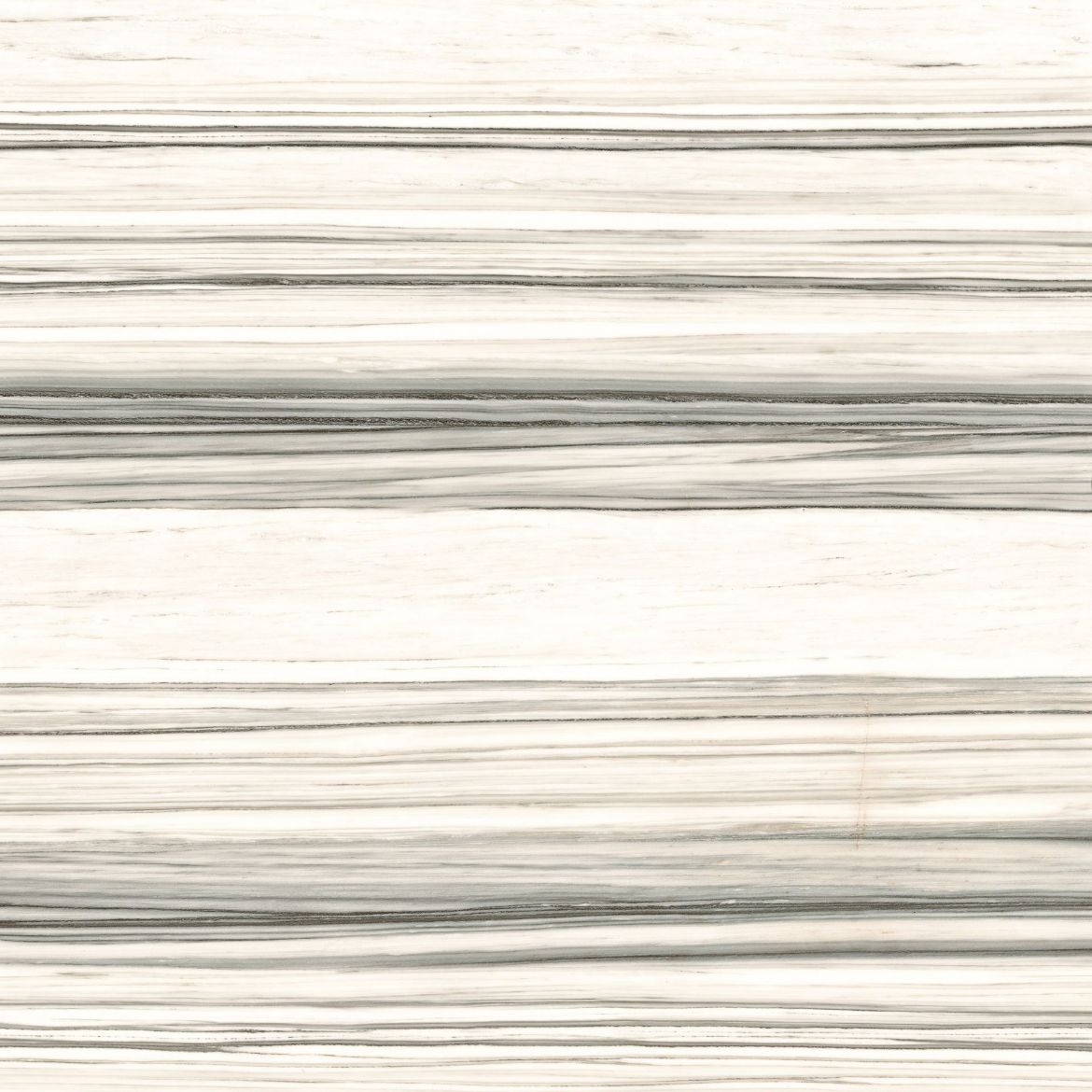 Billede af Aesthetica Zebrino 120x120 cm (LPM - Matpoleret)