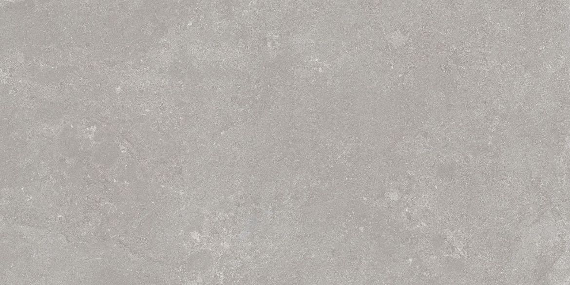 Billede af Algarve Grigio 60x120 cm (RM - Mat)