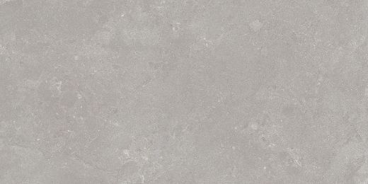 Billede af Algarve Grigio 60x120 cm (RM - Mat)