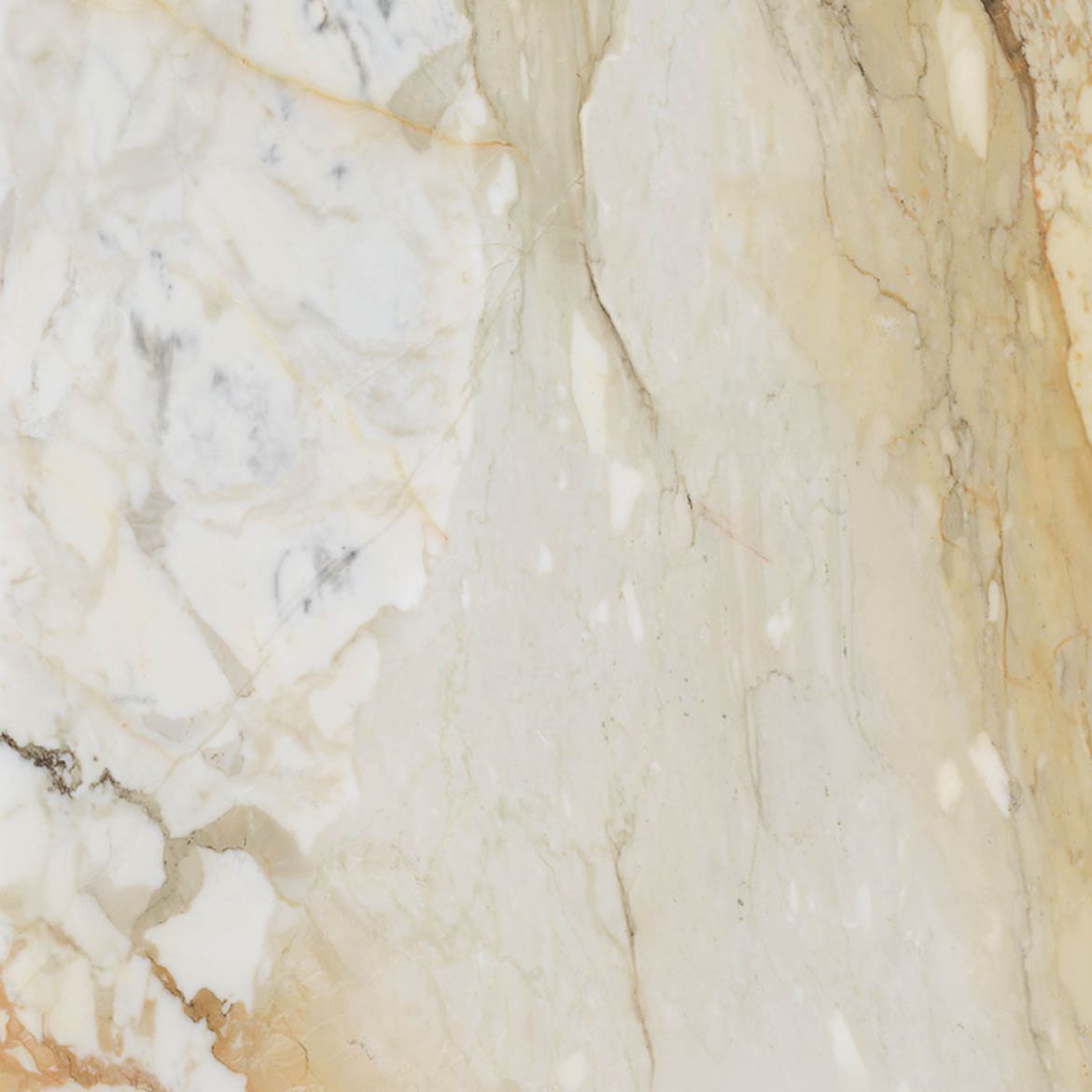 Billede af Bianco Calacatta Macchia Vecchia 90x90 cm (LP - Poleret)