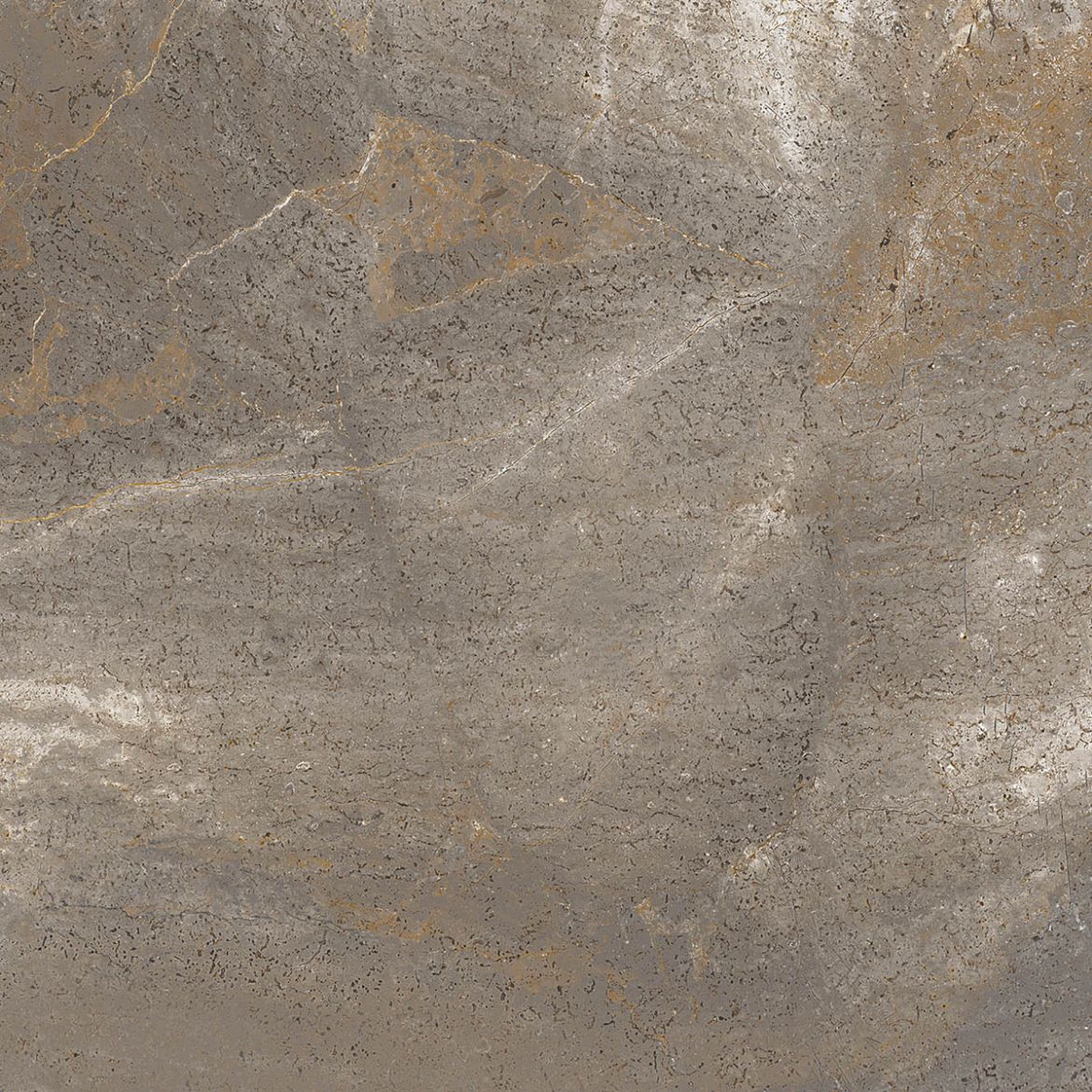 Billede af Trex3 Tortora 60x60 cm (LP - Poleret)