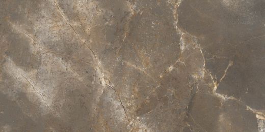 Billede af Trex3 Tortora 60x120 cm (LP - Poleret)