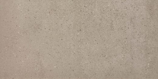 Billede af Overcome Greige 60x120 cm (R - Ru)