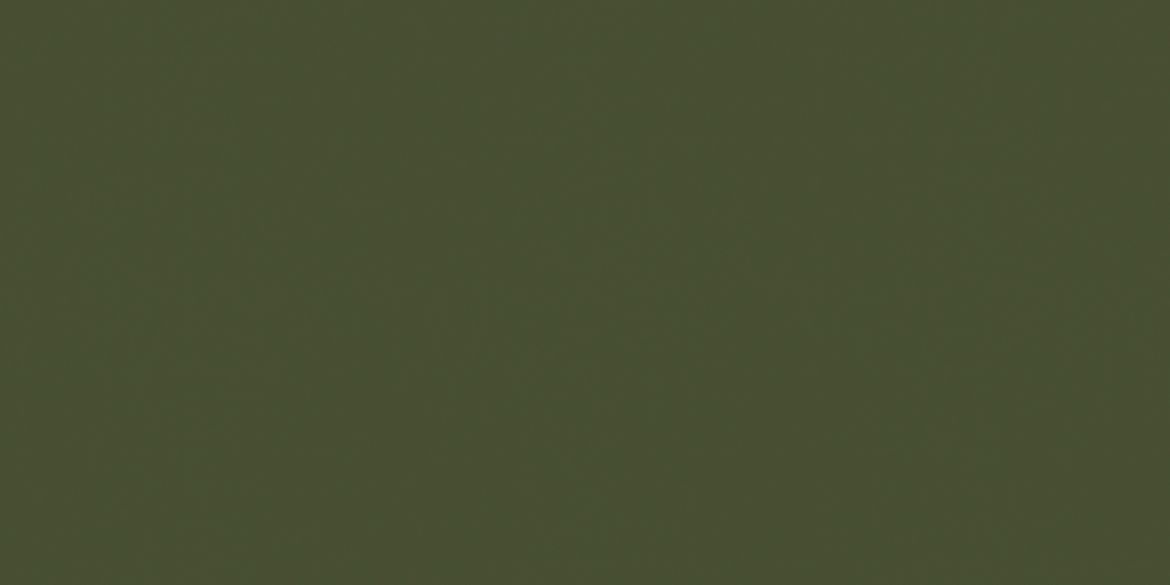 Billede af CC Pro Avocadogrøn Blankpoleret Uglaseret 297x597 mm