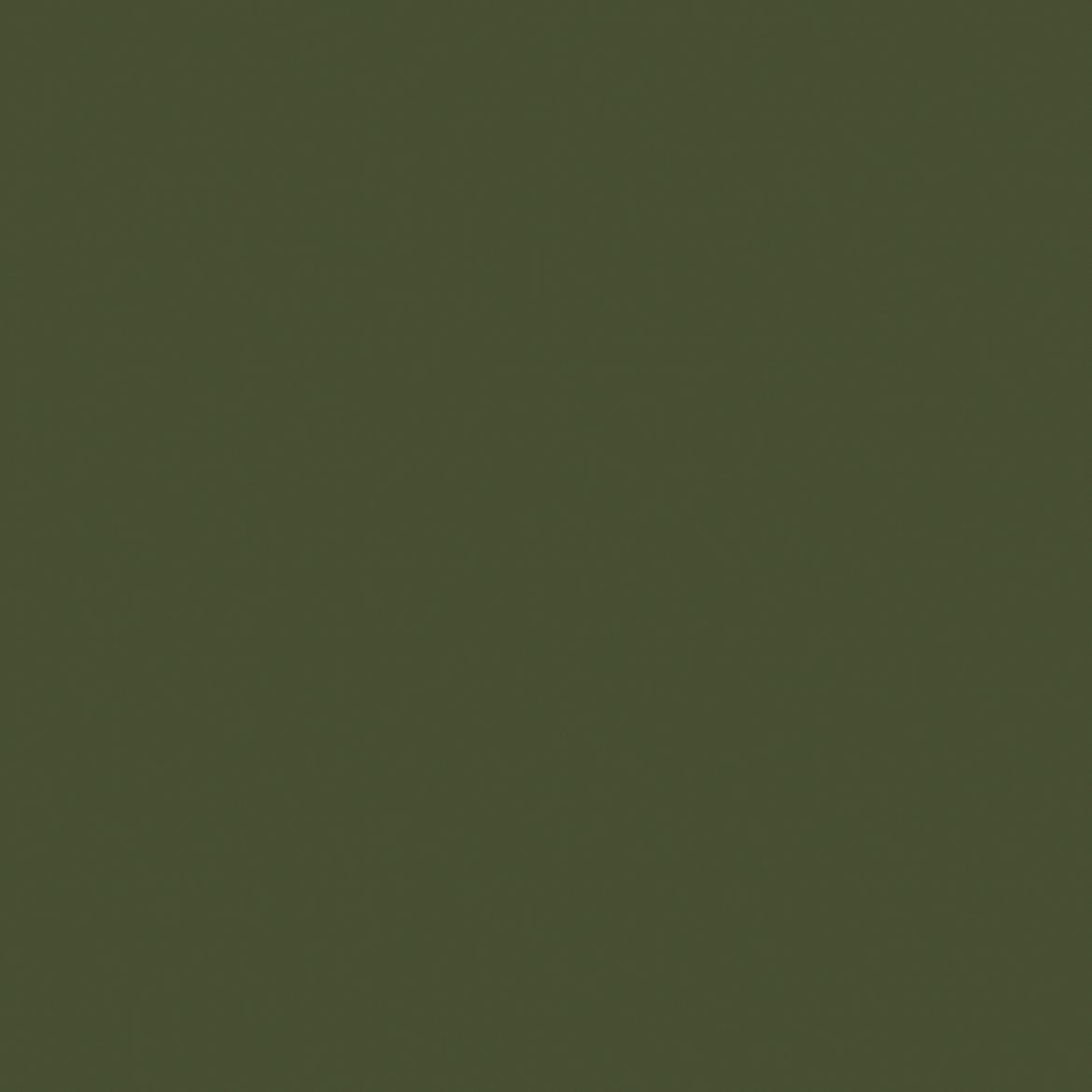 Billede af CC Pro Avocadogrøn Blankpoleret Uglaseret 597x597 mm