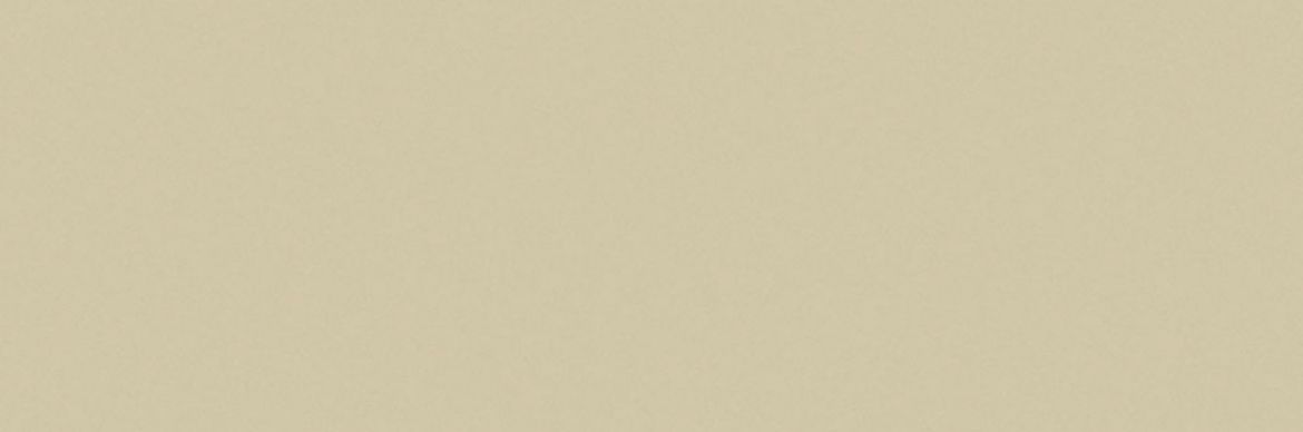 Billede af Croma Coin Mat Væg 10x30 cm