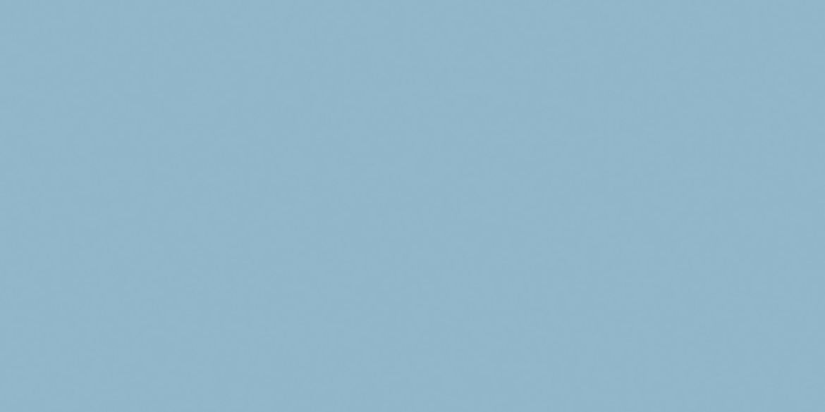 Billede af Mono Dueblå Mat Gulv/Væg 97x197 mm