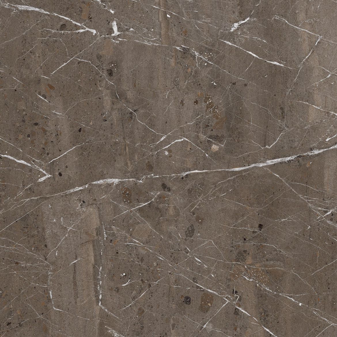 Billede af The Rock Breccia Imperiale Ru 60x60 cm (R - RU)